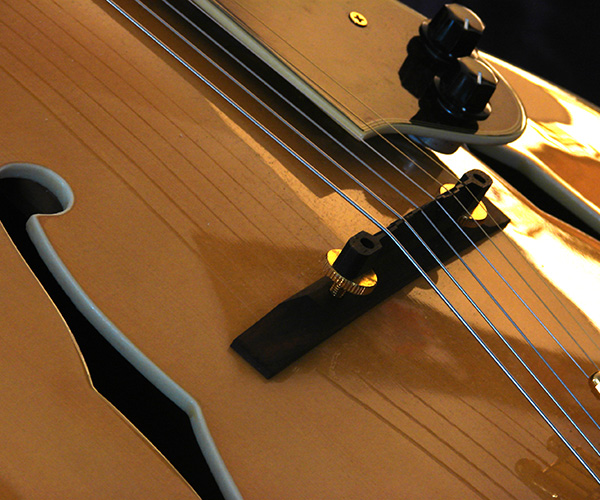 Bio: Image of guitar